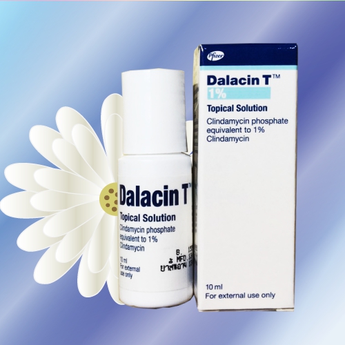 ダラシン T ローション (Dalacin T) 1% 10mL