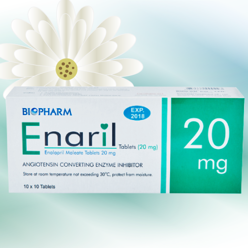 Enaril (エナラプリル) 20mg 100錠