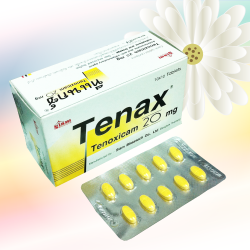 Tenax (テノキシカム) 20mg 100錠