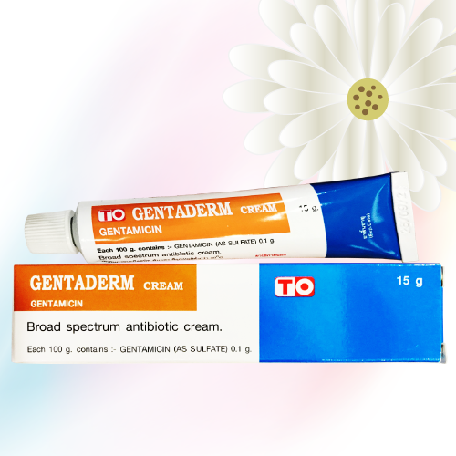 Gentaderm Cream (ゲンタマイシンクリーム) 0.1% 15g