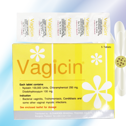 ヴァギシン膣錠 (Vagicin)