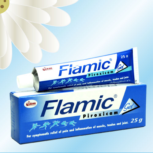 フラミクジェル / ピロキシカムジェル (Flamic Gel) 0.5% 25g