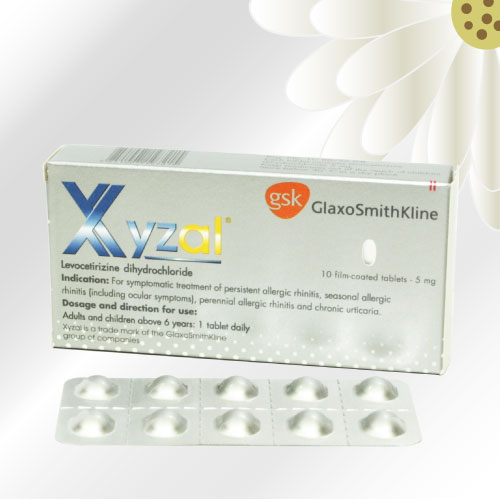 ザイザル (Xyzal) 5mg