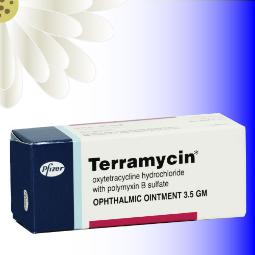 テラマイシン眼軟膏 (Terramycin Ophthalmic Ointment) 3.5g