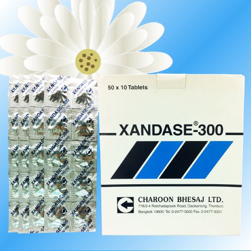 Xandase (アロプリノール) 300mg