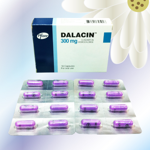 ダラシンカプセル (Dalacin) 300mg