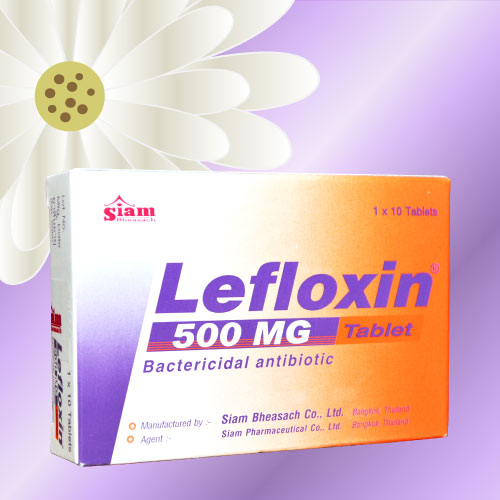 レフロキシン / レボフロキサシン (Lefloxin) 500mg