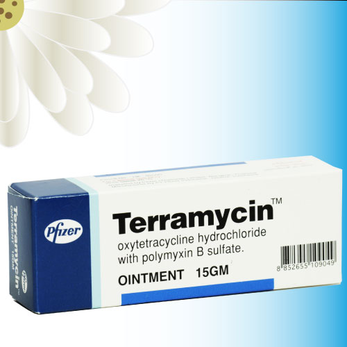 テラマイシン軟膏 (Terramycin Topical Ointment) 15g