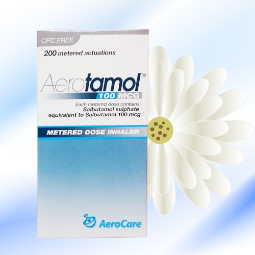 エアロターモル吸入器 (Aerotamol) 100mcg