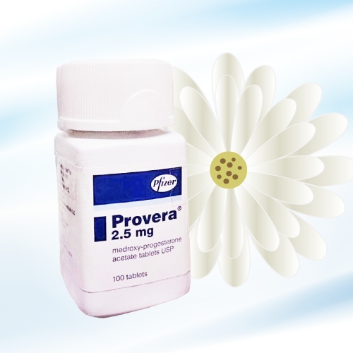 プロベラ (Provera) 2.5mg 100錠